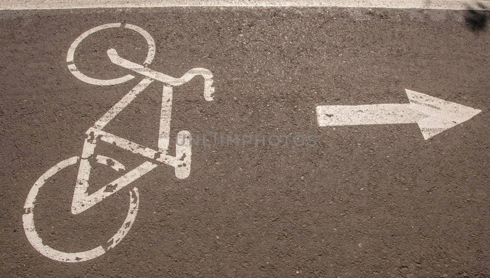 Bike road in the park. Healthy lifestyle. Bicycle track.