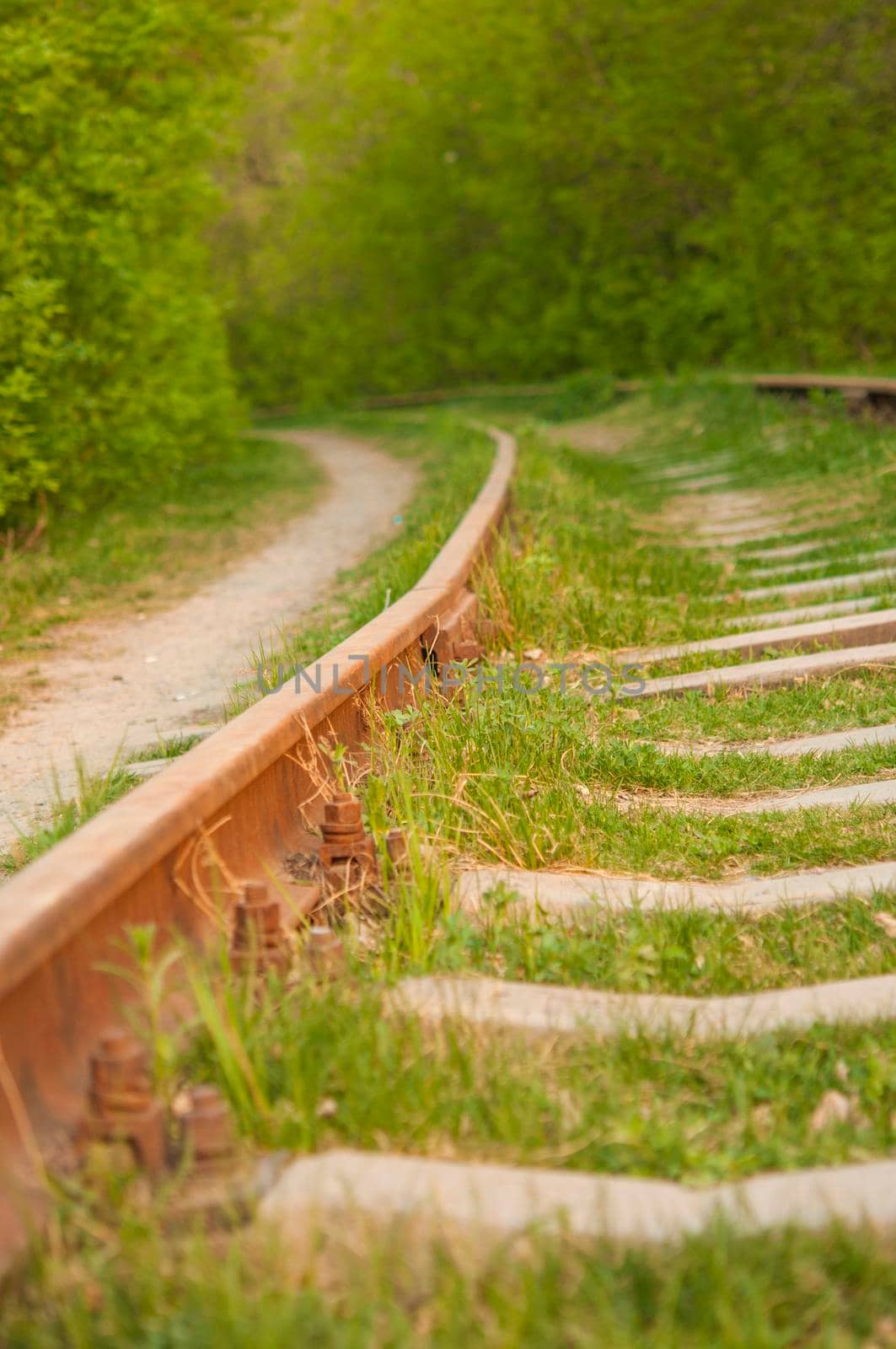 Abandoned railroad with rusty rails in the forest. Concept of crisis in transportation