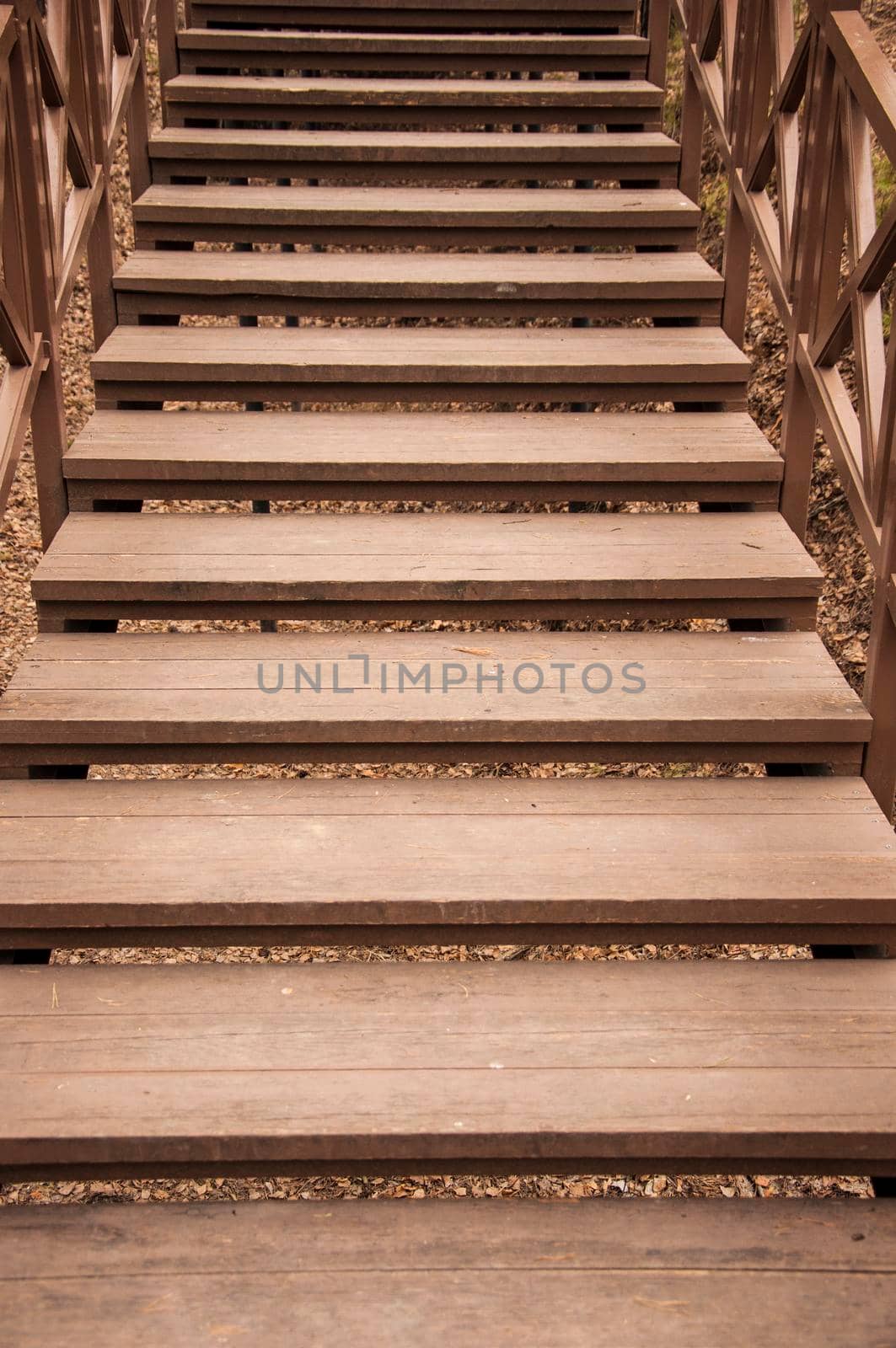 Old wooden bridge with stairs in forest. Staircase in the wood. Adventure and explore concept.  by inxti