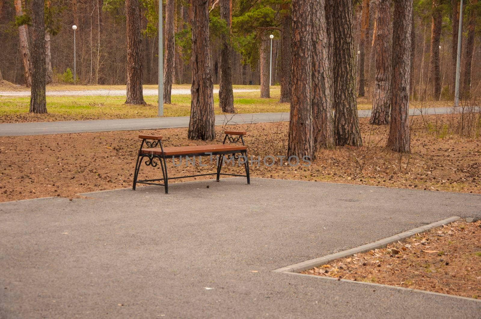Wooden bench in the city park by inxti
