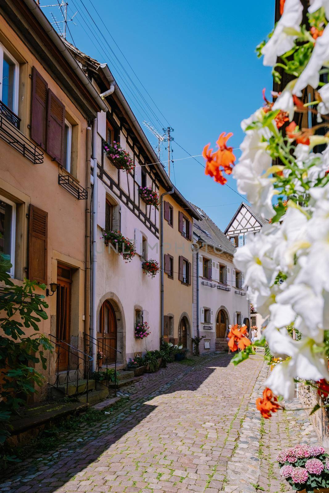 Eguisheim, Alsace, France,Traditional colorful halt-timbered houses in Eguisheim Old Town on Alsace Wine Route, France by fokkebok