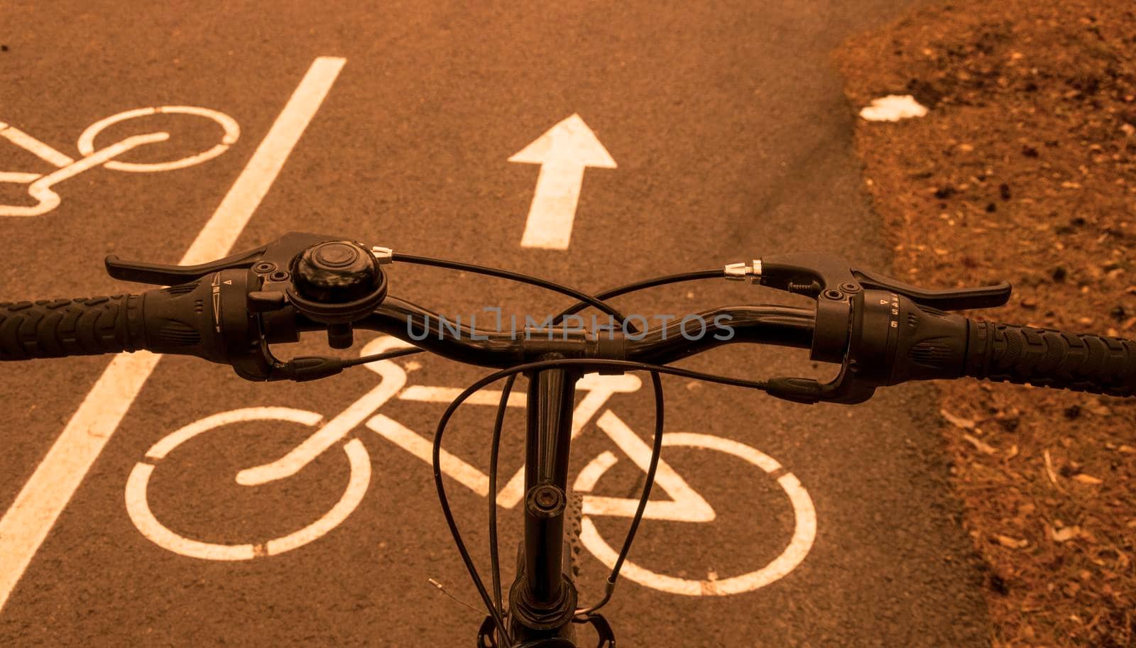 Bike path in a city Park, bike path sign on asphalt by inxti