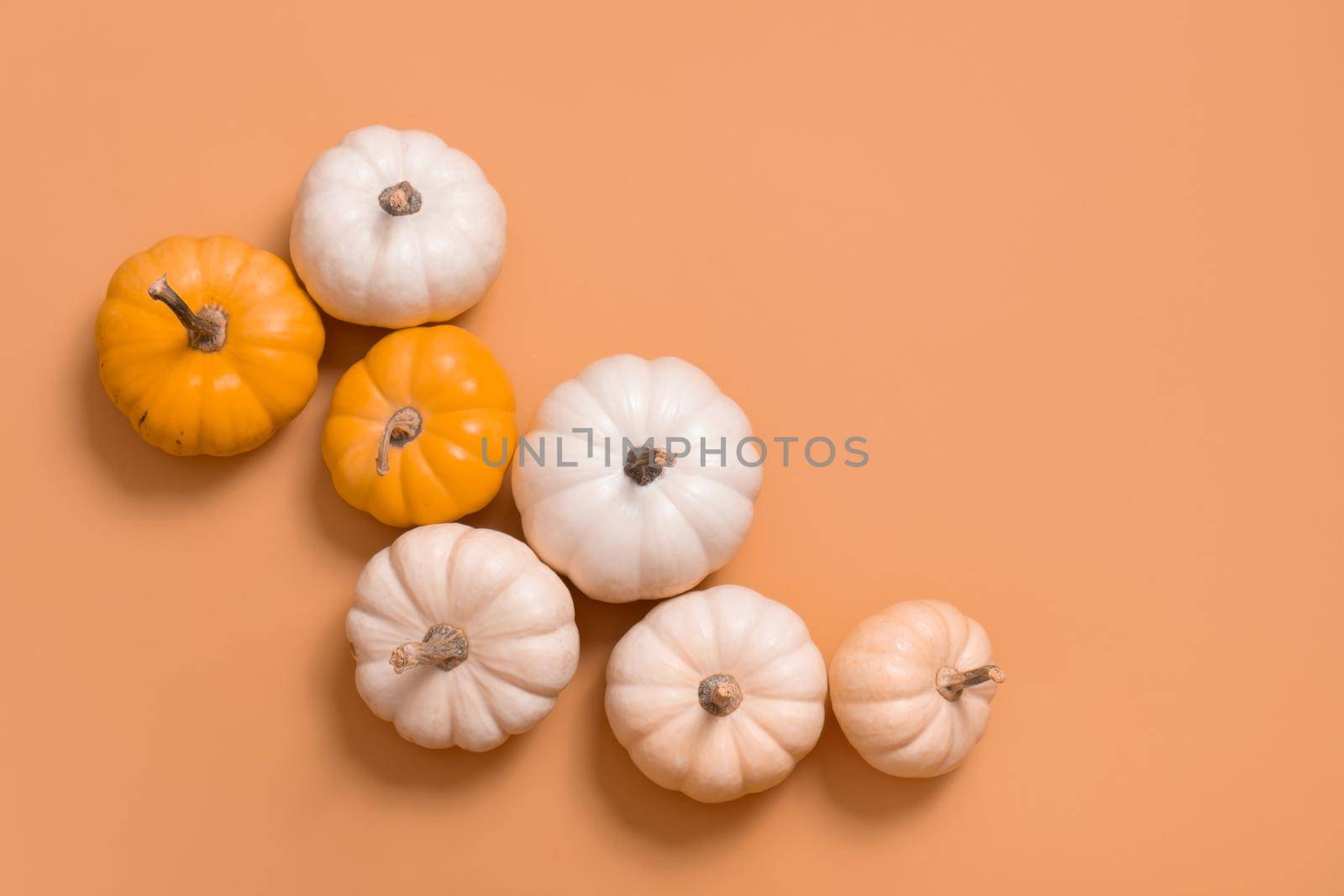 Group of decorative pumpkins top view on orange background. Autumn flat lay. Copy space.