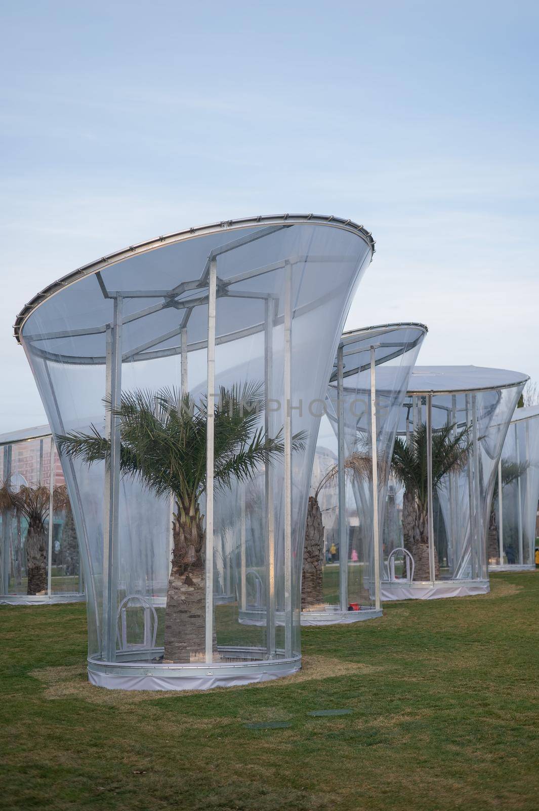 Palm trees under a protective dome in the cold season. by mrwed54