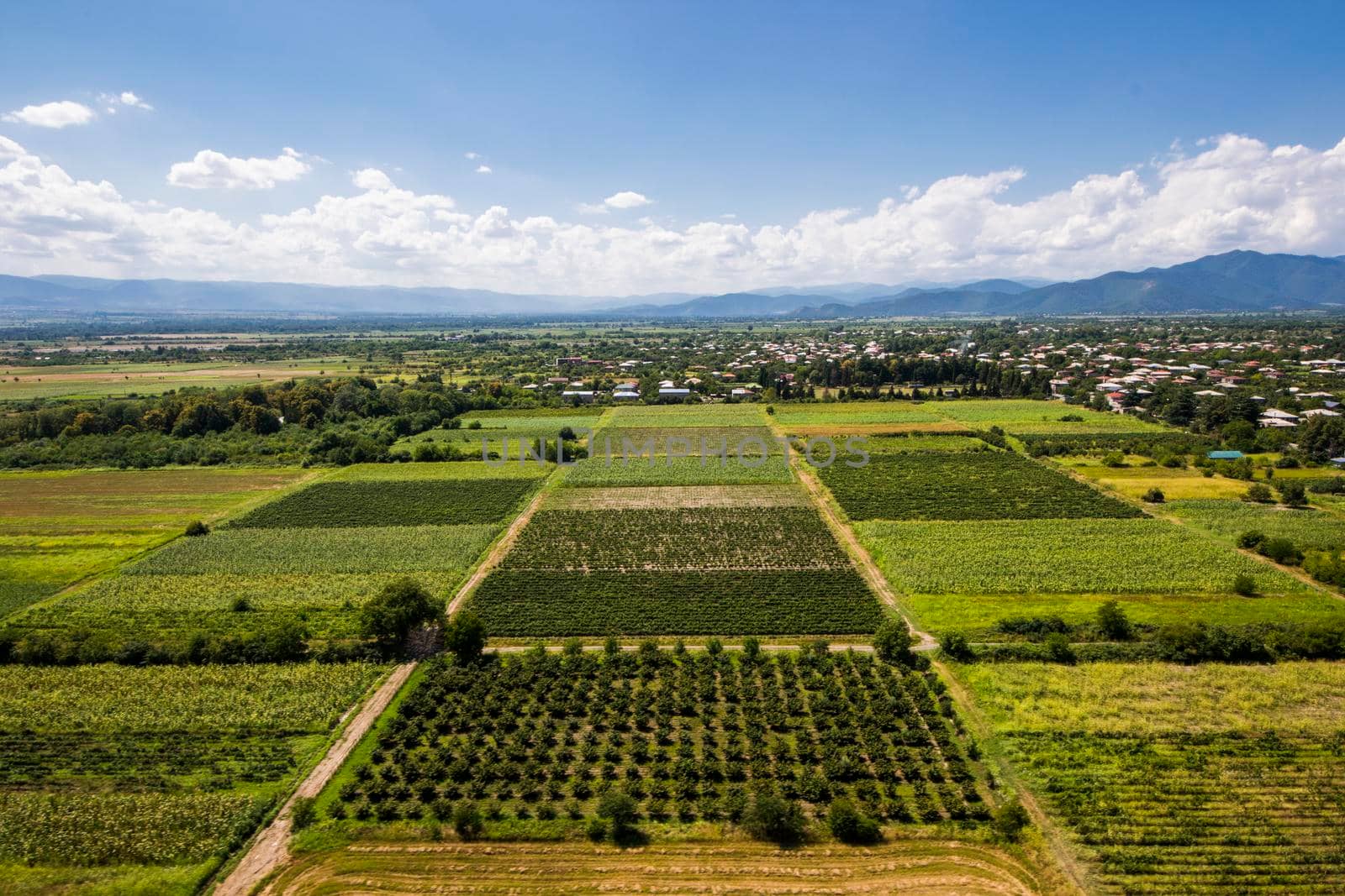 High angle view of agricultural fields in Kakheti, Georgia by Taidundua