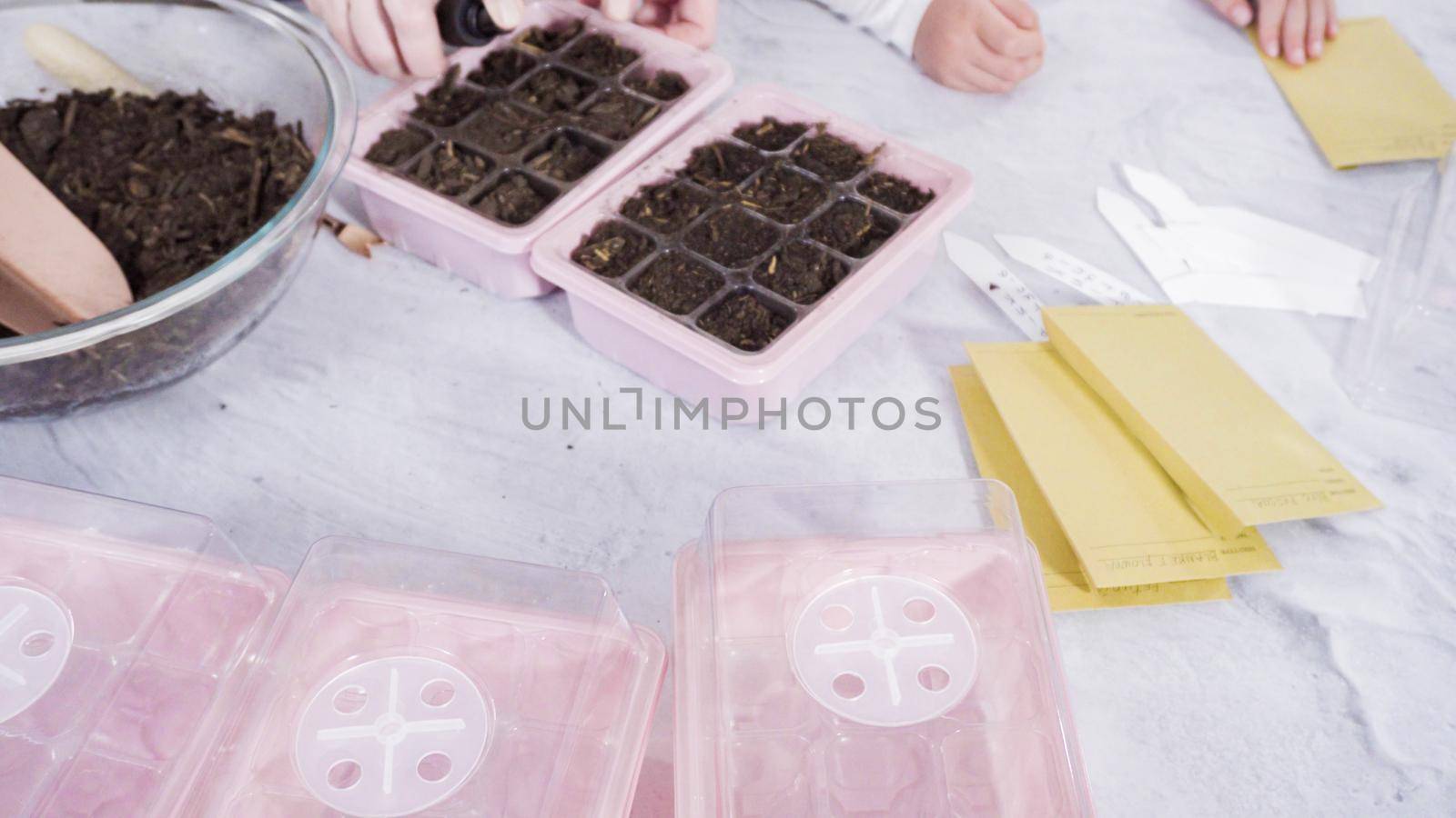 Little girl helping planting seeds in seed propagator with soil.