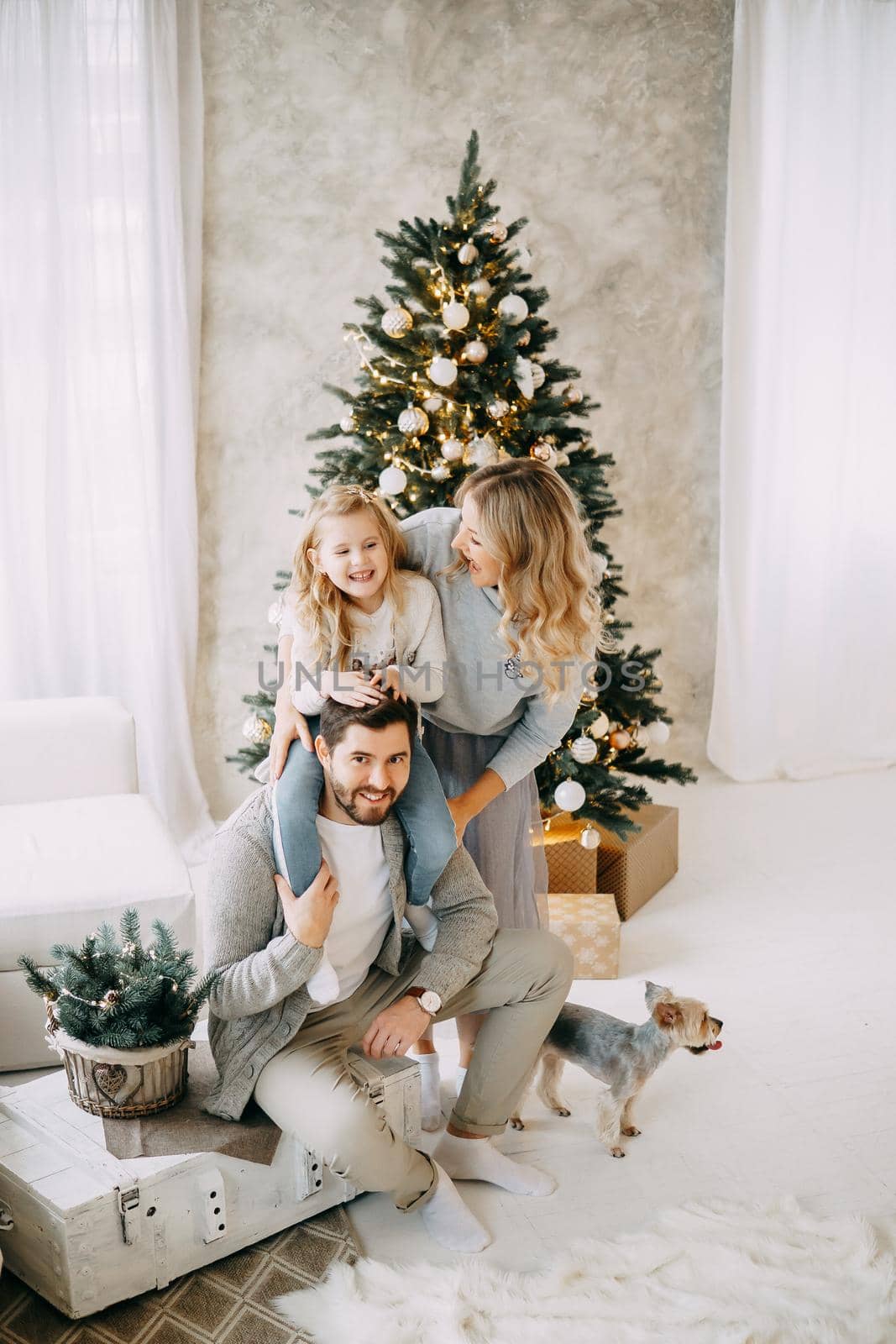 Happy family: mom, dad and pet. Family in a bright New Year's interior with a Christmas tree.