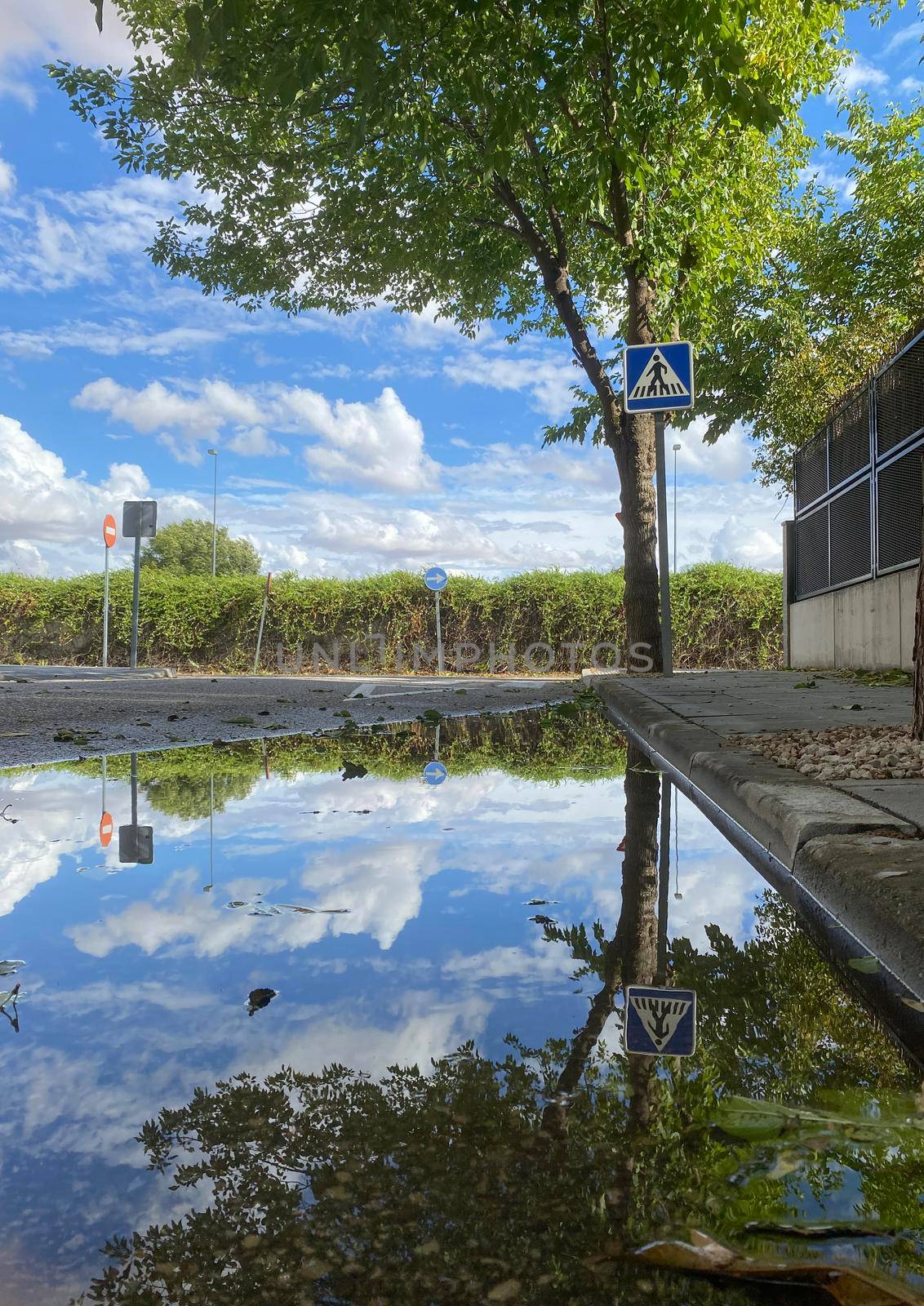 Reflection of beautiful cloudy sky and tree in a puddle on the road. Calm after the storm. Things can only get better concept