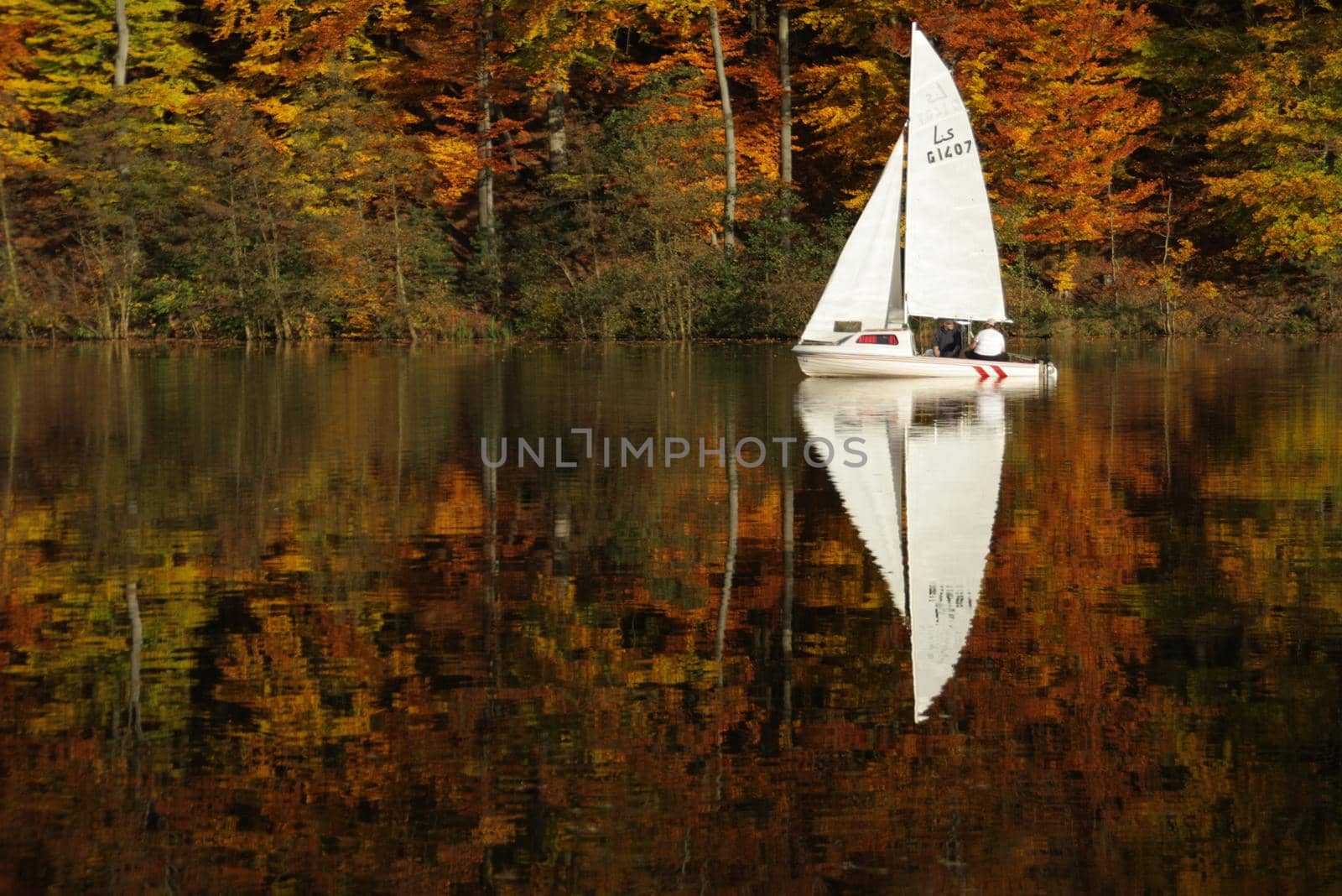 a sailboat and an autumn forest of red yellow and green autumn colors are reflected in the lake surface by Costin