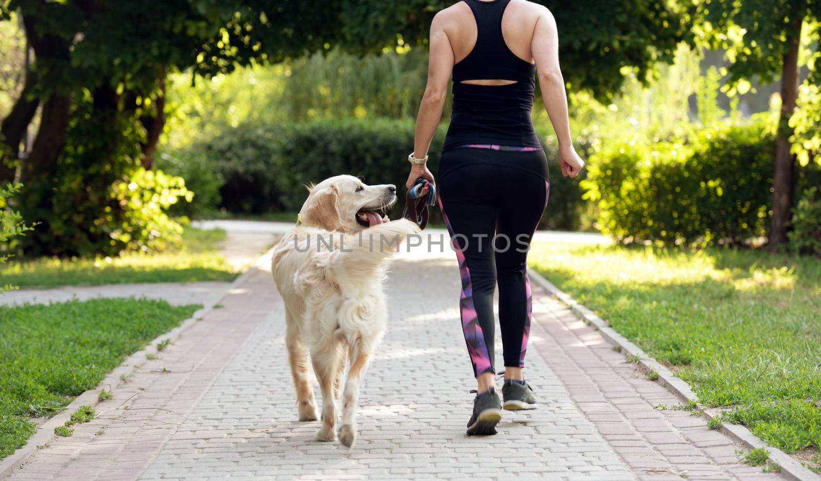 Sport girl running with golden retriever dog outdoors view from back. Young woman jogging with doggy pet in summertime