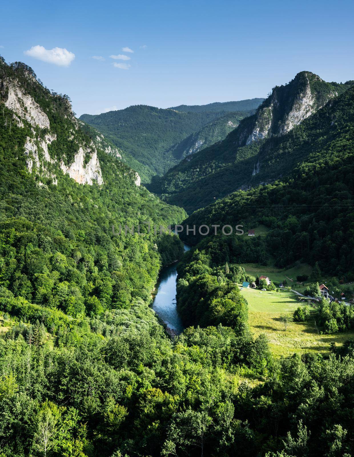 River in mountains of Montenegro. Beautiful nature hills with forest view from top