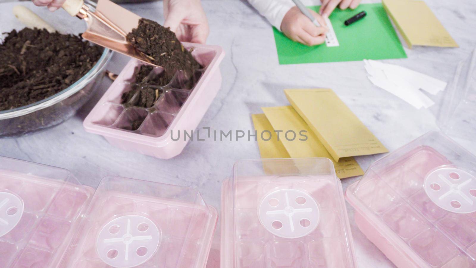 Little girl helping planting seeds in seed propagator with soil.