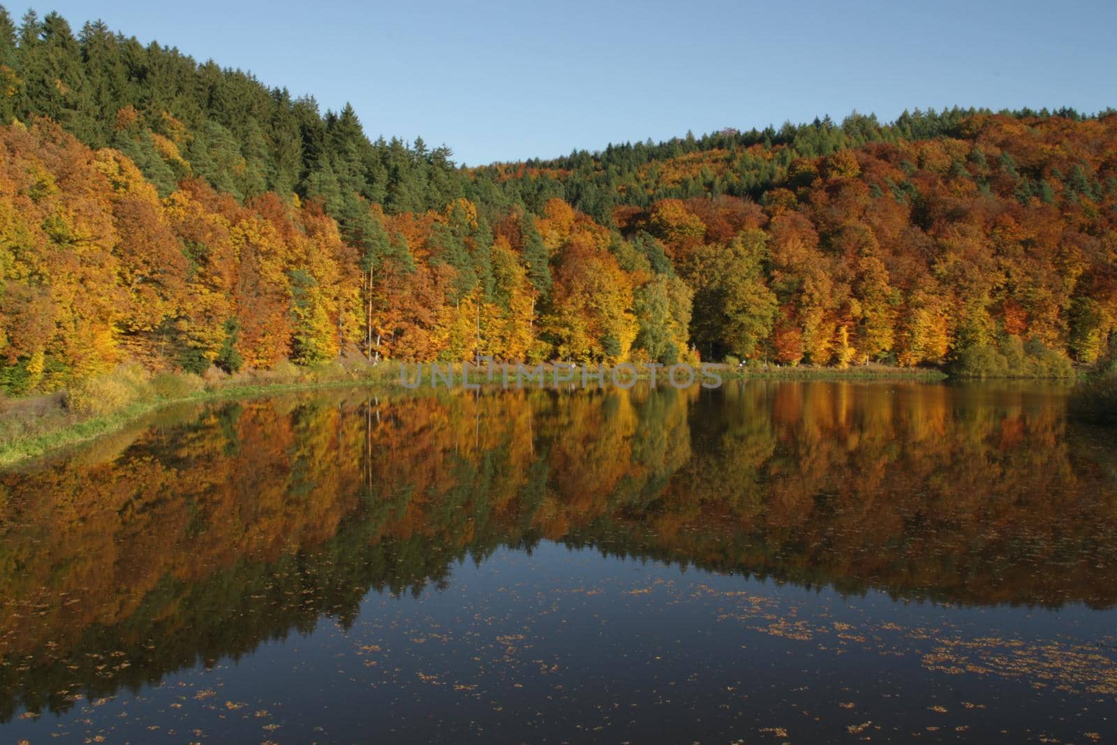 the blue sky and autumn forest of red yellow and green autumn colors are reflected in the lake surface by Costin