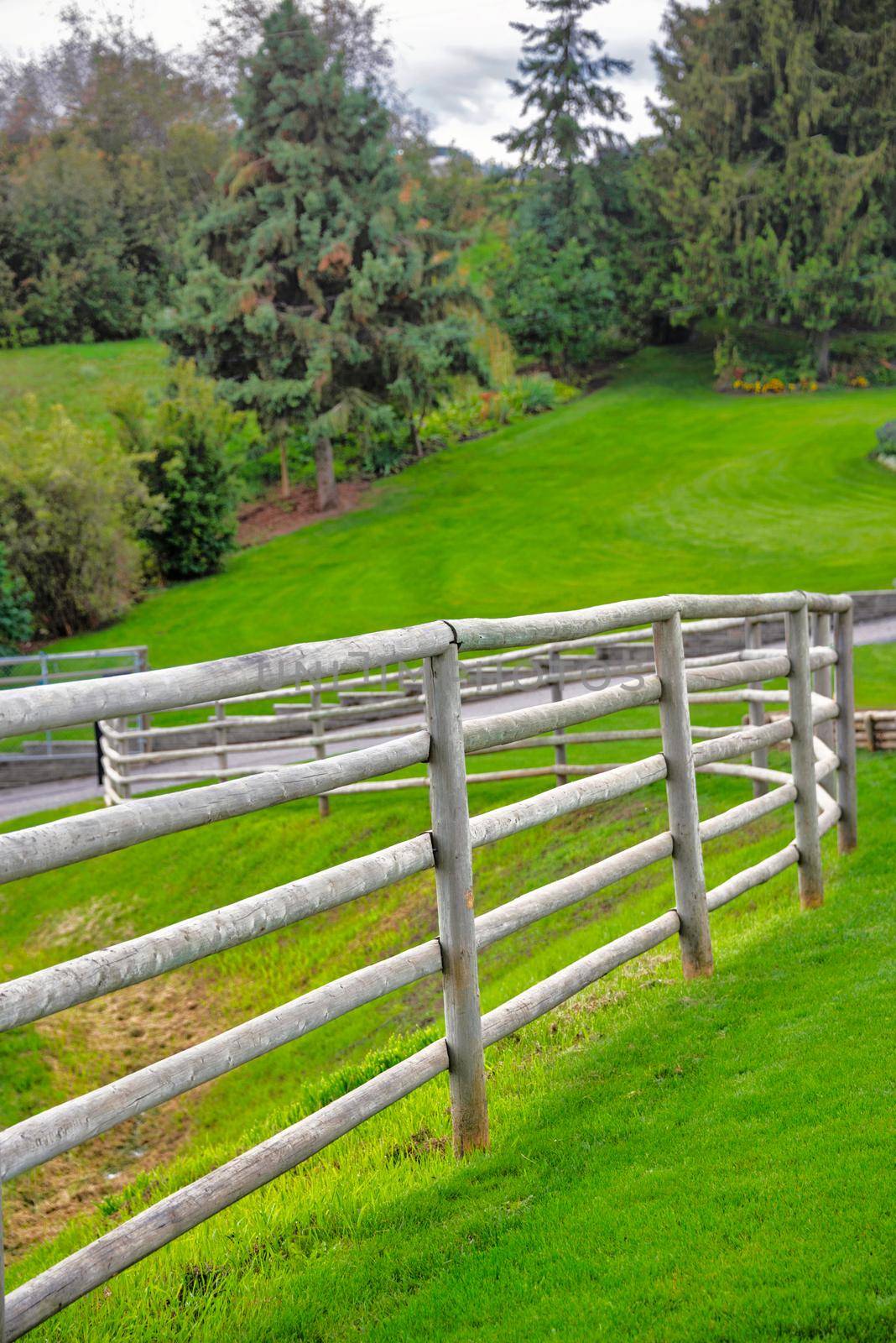 Wood log fence on green fields background.
