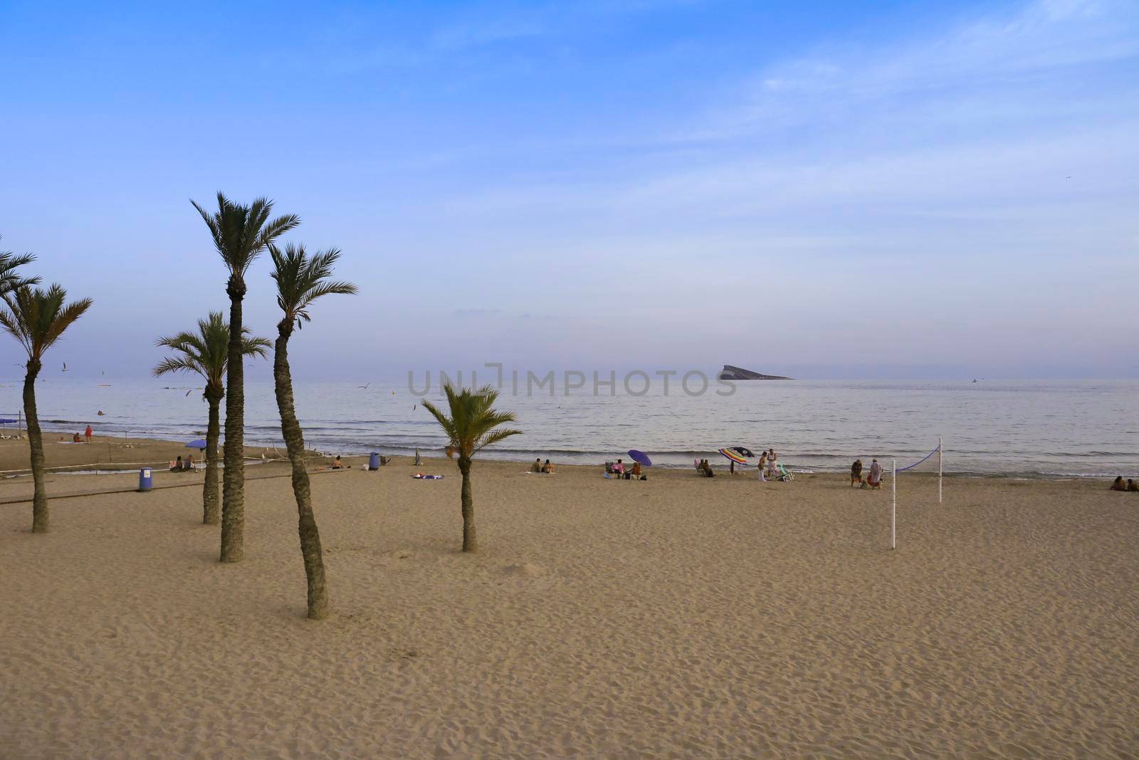 Benidorm, Alicante, Spain- September 11, 2022: Poniente beach with its beautiful California palm trees. L'illa island in the background