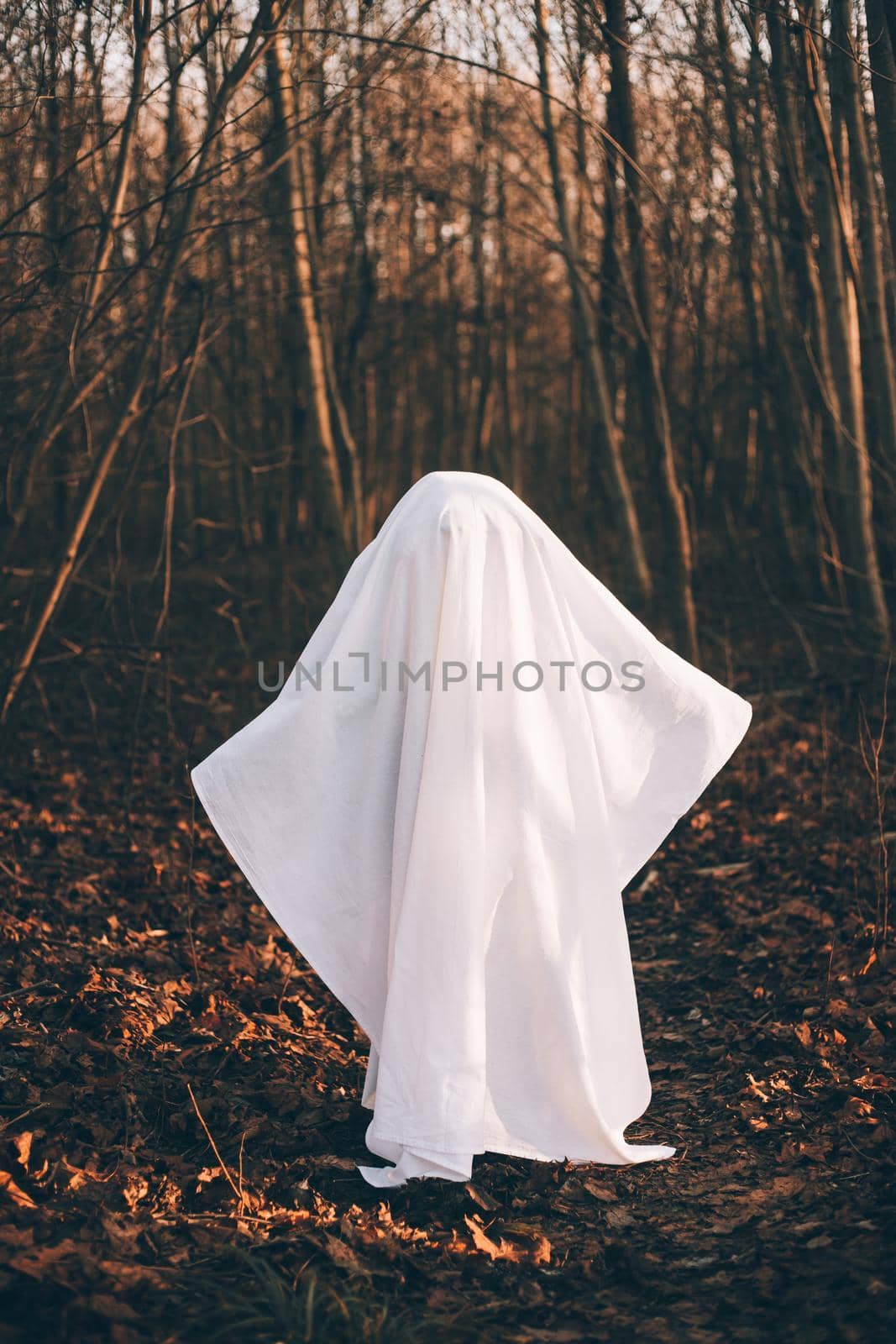 Halloween ghost in the woods . Halloween holiday. Masquerade . An article about Halloween. An article about a ghost. Mysticism. by alenka2194