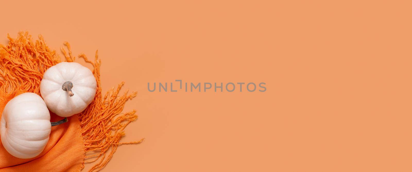 Autumn banner from white pumpkins on orange scarf top view with copy space. Thanksgiving day concept by ssvimaliss