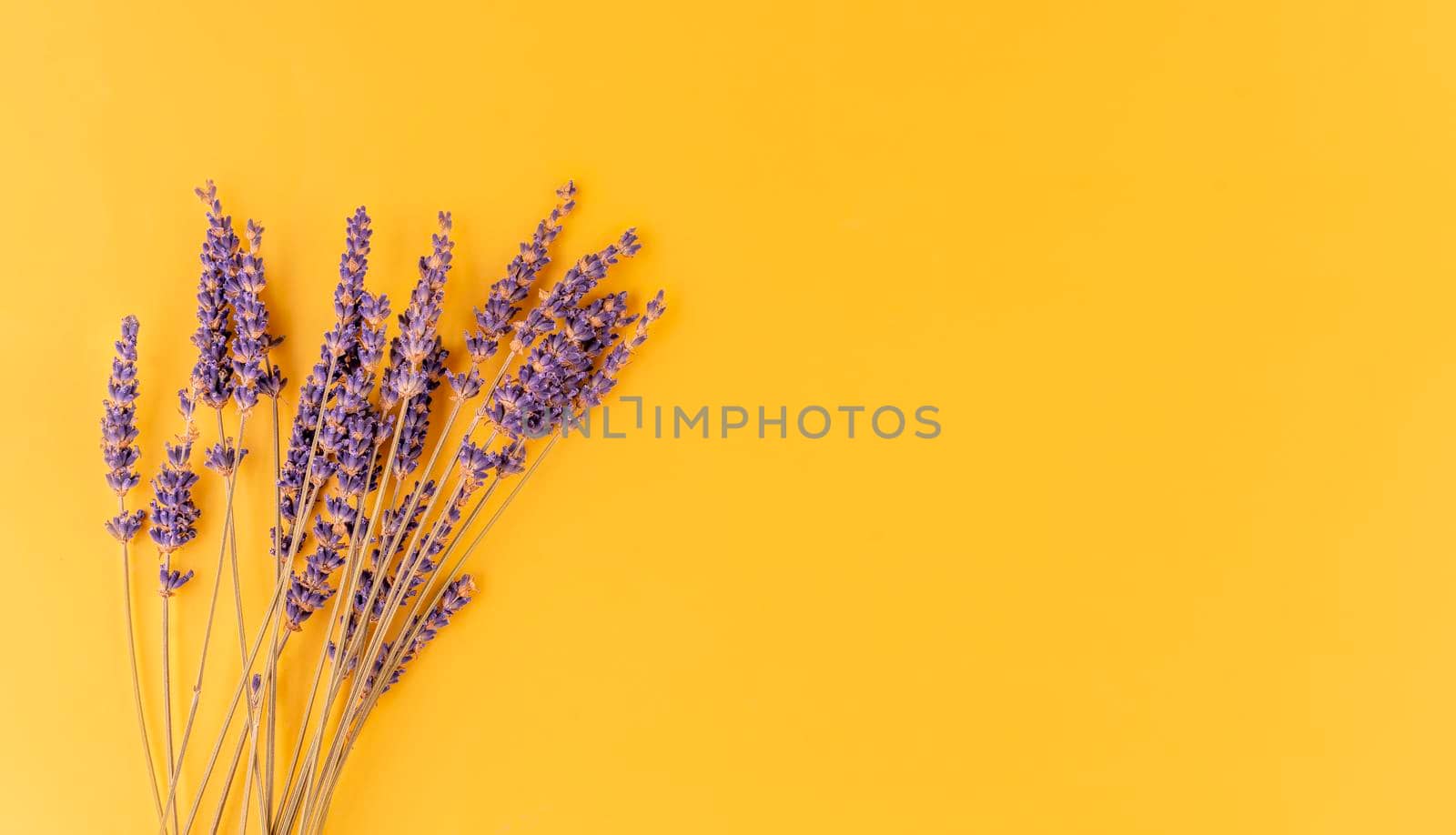 Lavender flowers on a yellow background. Space for text high-quality photos for calendar and cards Top view, flat lay