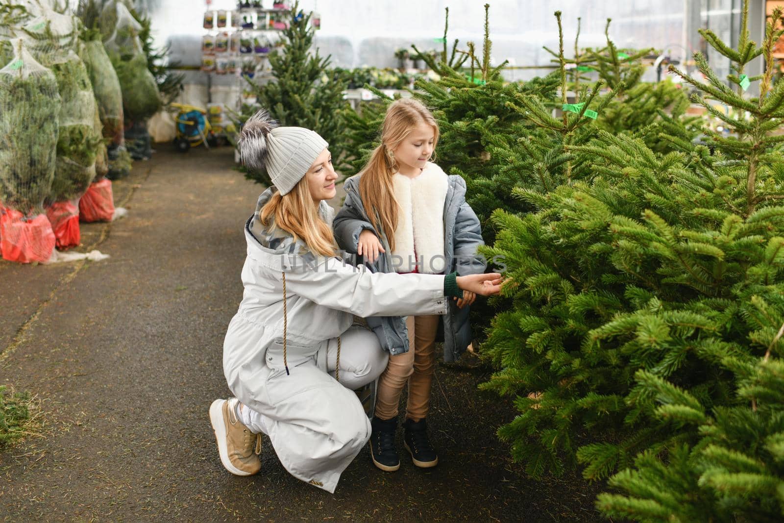 Mother and child buying a Christmas tree in the market.