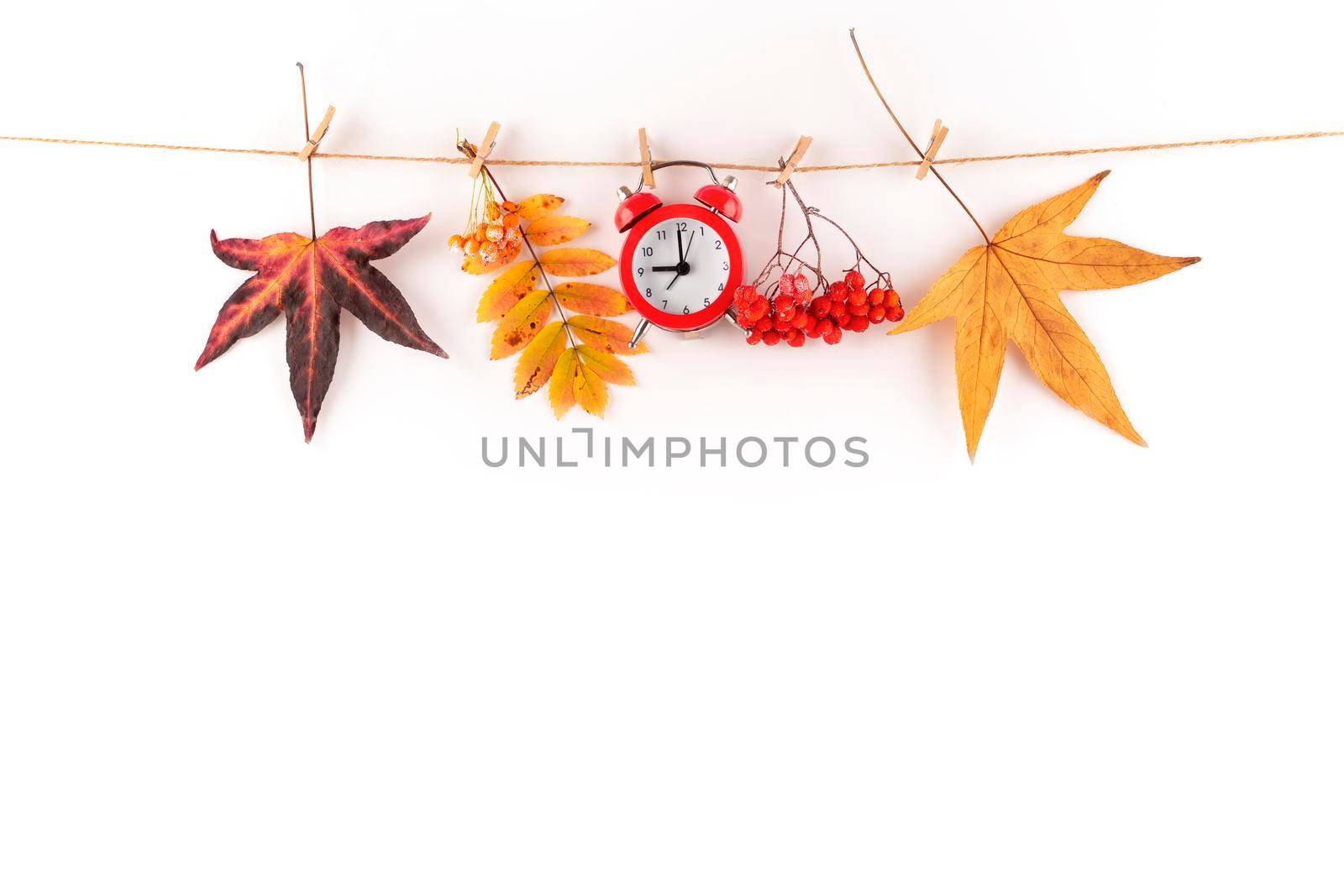 Autumn composition. Autumn leaves, berry, watch on white background. Copy space. by Iryna_Melnyk