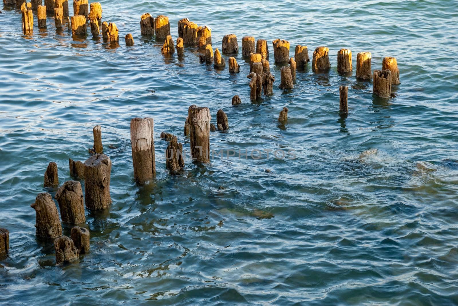 The old dock pilings in the Bodensee Lake in Germany