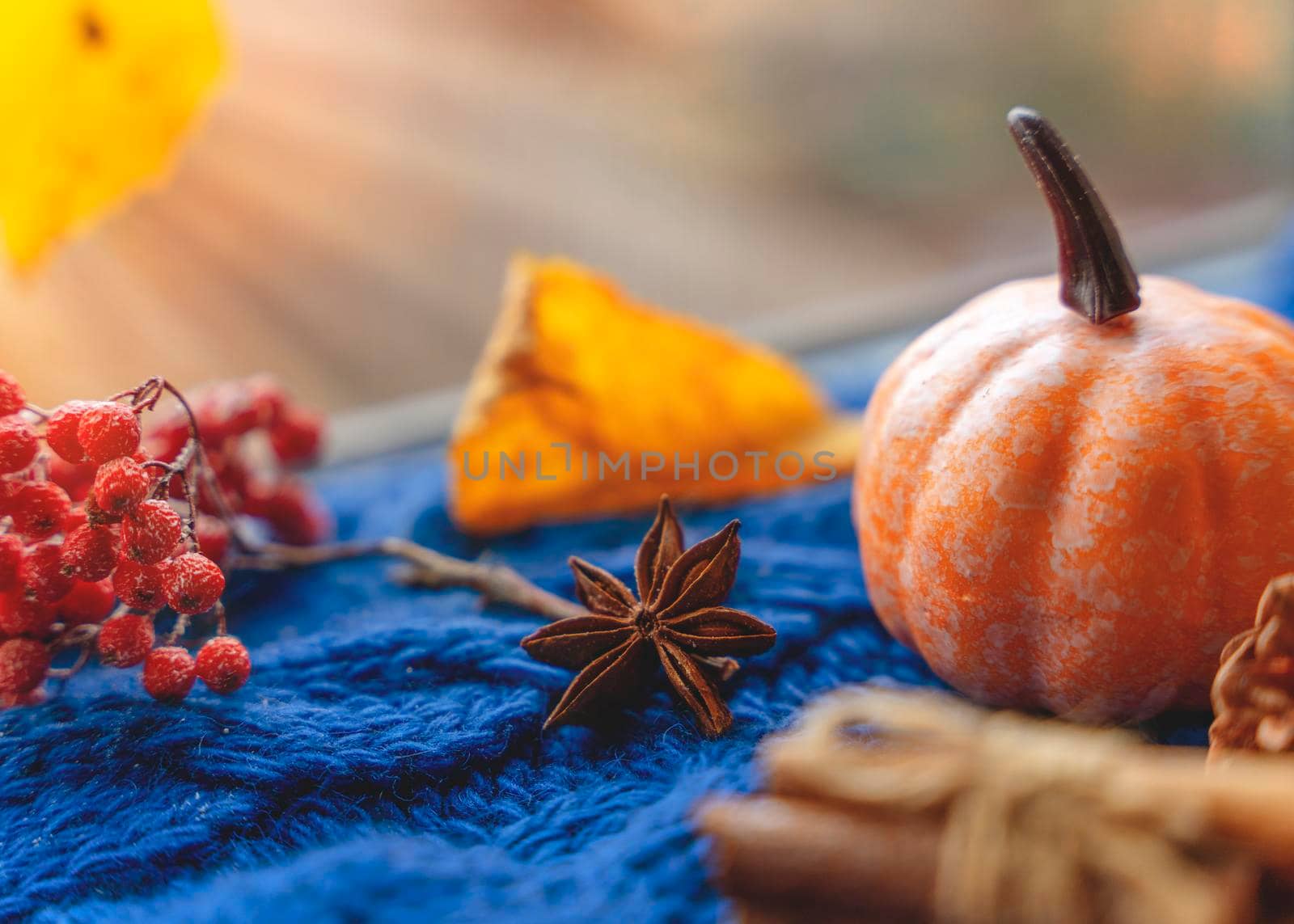 autumn leaves with an blue scarf a candle a cone acornes cinnamon pumpkin autumn berry anoce on the windowsill in rainy weather by Iryna_Melnyk