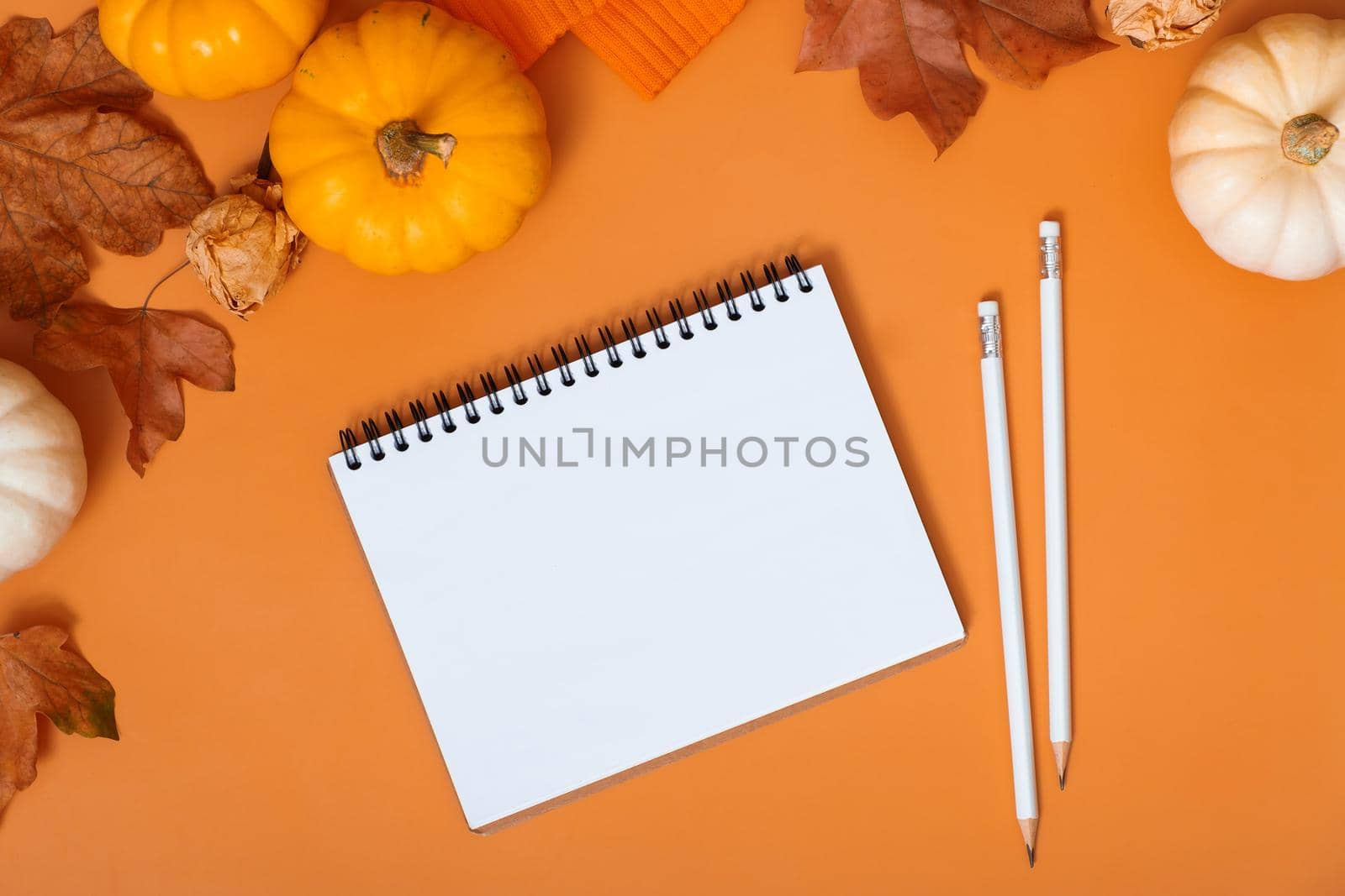 Blank notebook for text next to pumpkins and autumn leaves. Autumn theme mockup by ssvimaliss