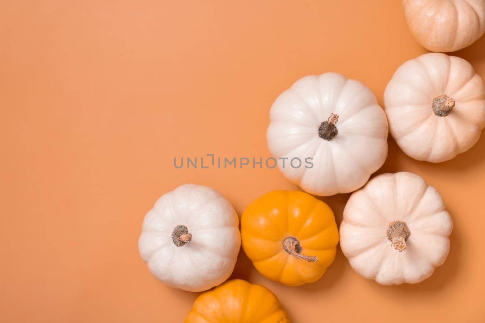 Group of decorative pumpkins top view on orange background. Autumn flat lay.