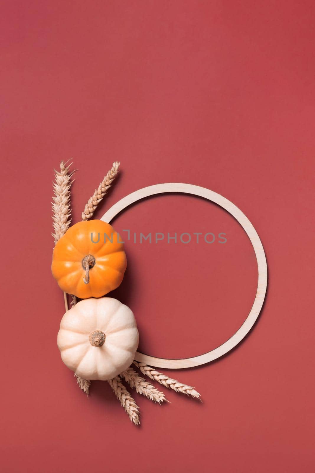 Decorative pumpkins and wooden frame for text, autumn themed blank top view, flat lay.