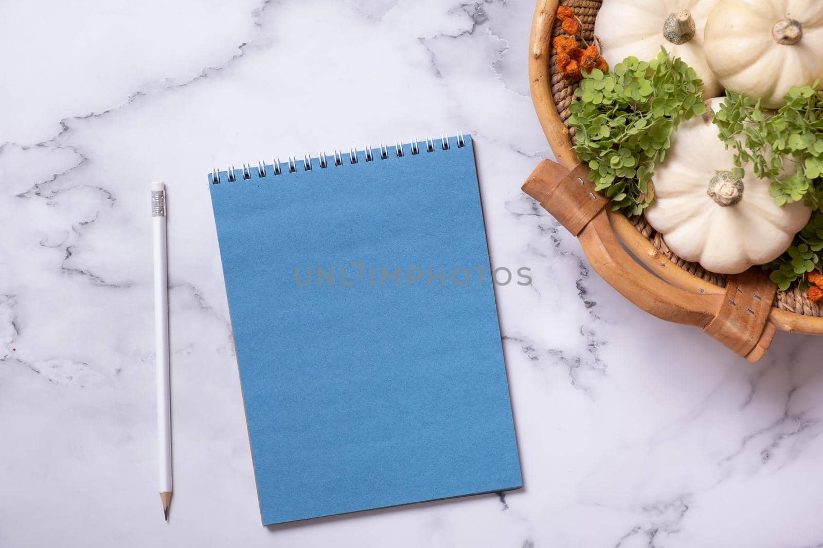 Blank notebook and pencil with decorative pumpkins on marble table top view by ssvimaliss