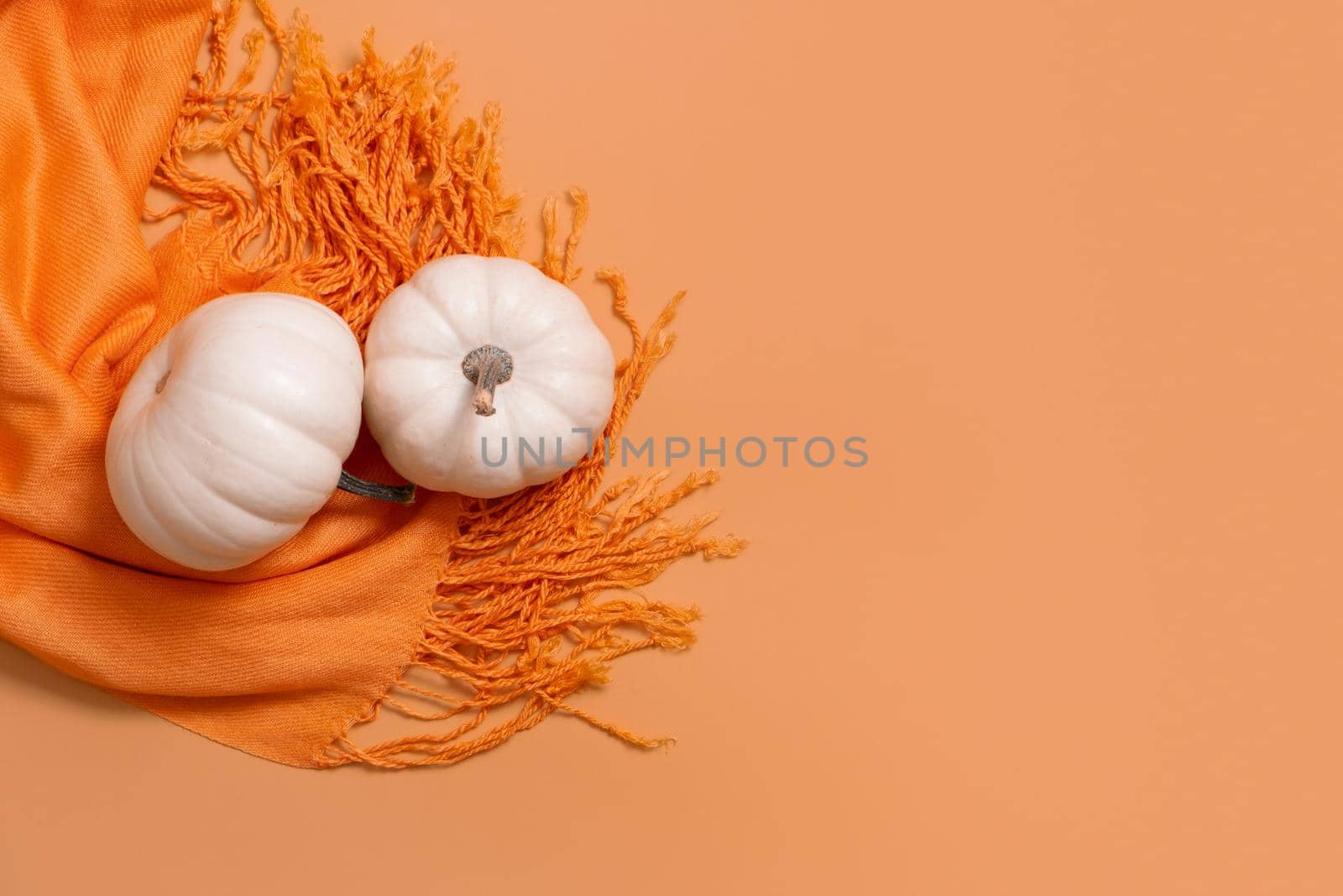 Autumn flat lay composition with white pumpkins on orange scarf top view with copy space.