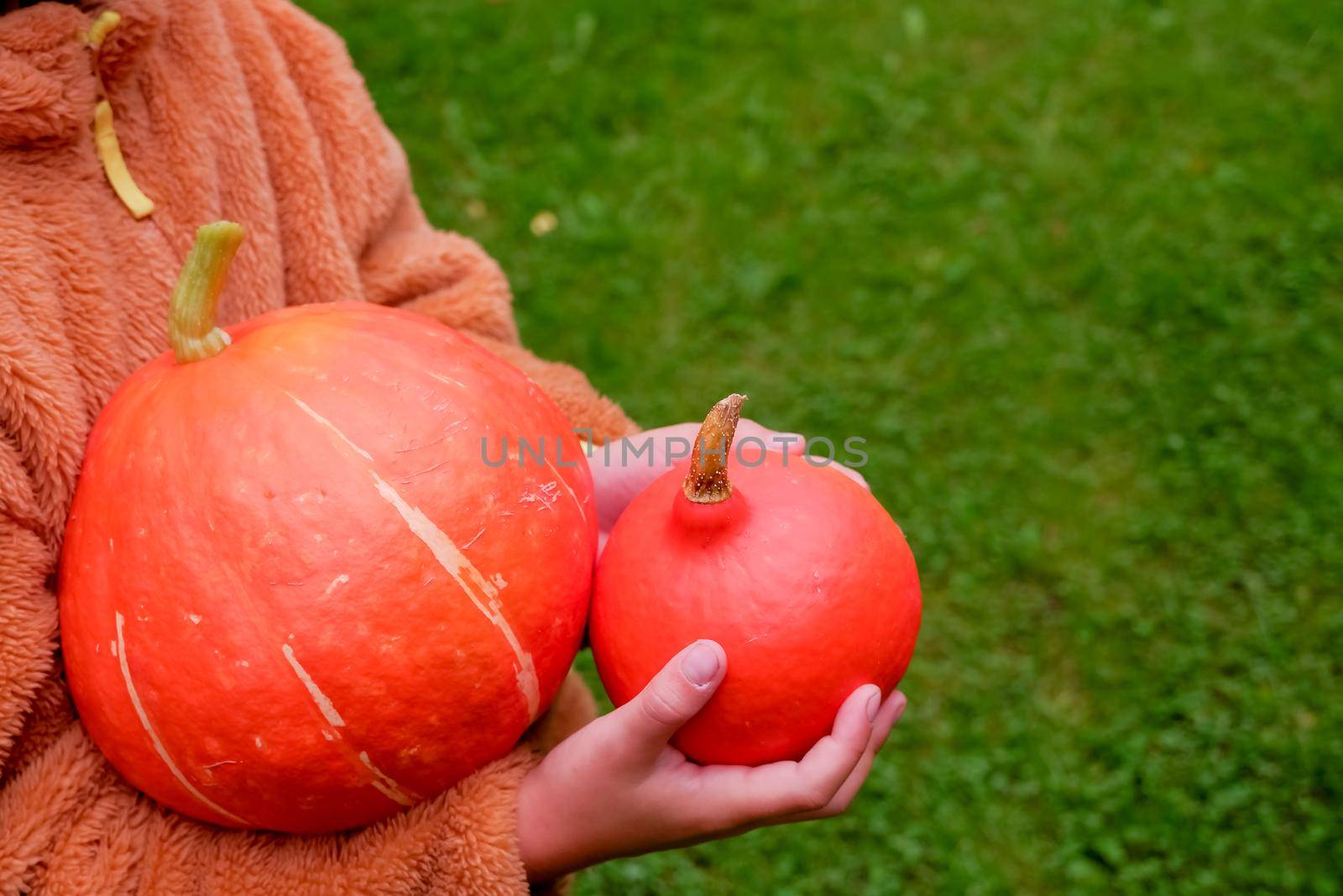 happy little cute girl with painting spider on cheek holding orange pumpkin for jack lantern. smiling kid harvesting in autumn on red background.