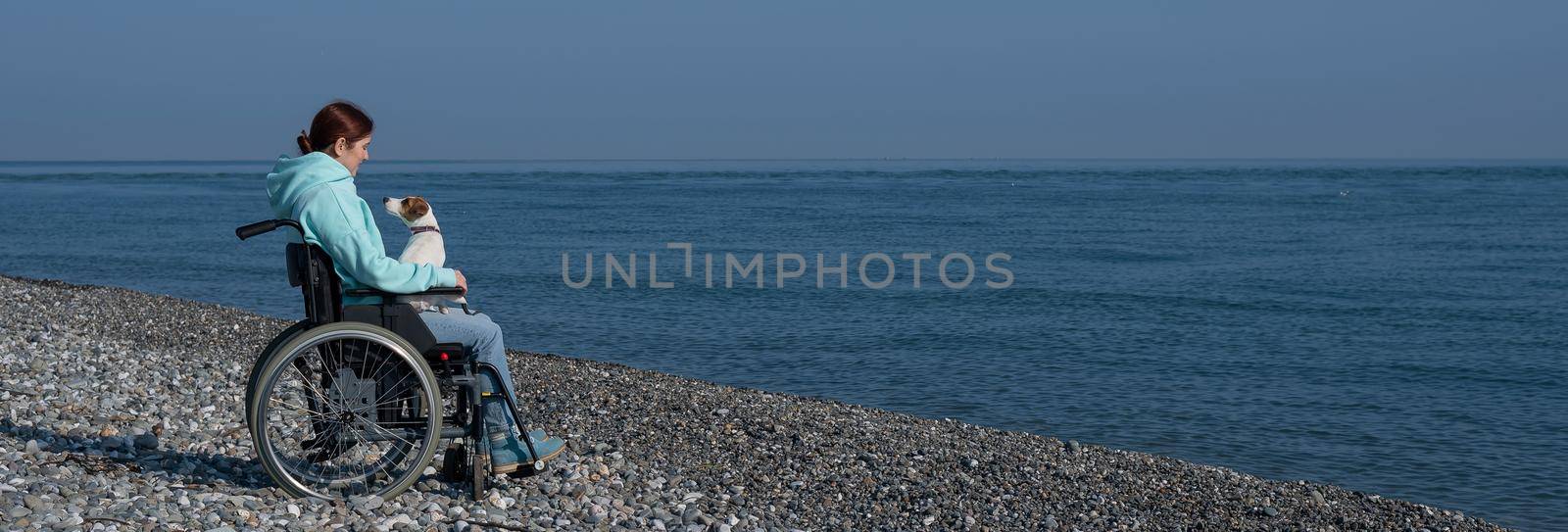 A serene Caucasian woman in a wheelchair is resting on the seashore with a jack russell terrier dog. by mrwed54