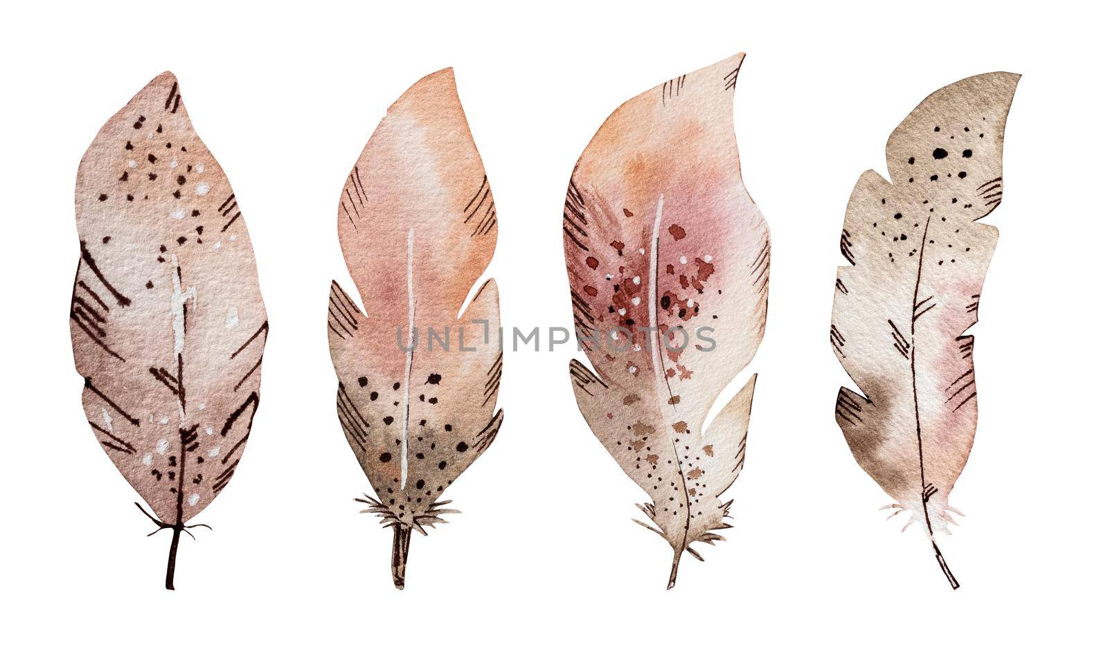 Watercolor feather paintings in boho style with indian ornament set. Hippie quills aquarelle drawings collection