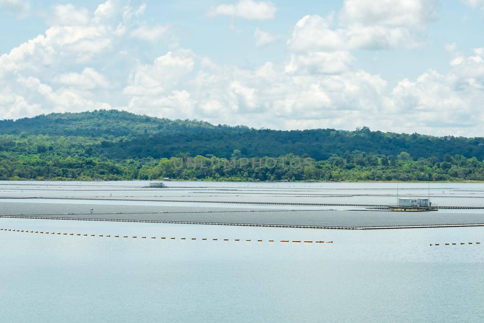 Floating solar farm or floating photovoltaics. Solar power. Landscape of solar panels floating on water in reservoir or lake. Solar technology. Alternative renewable energy. Sustainable resources.