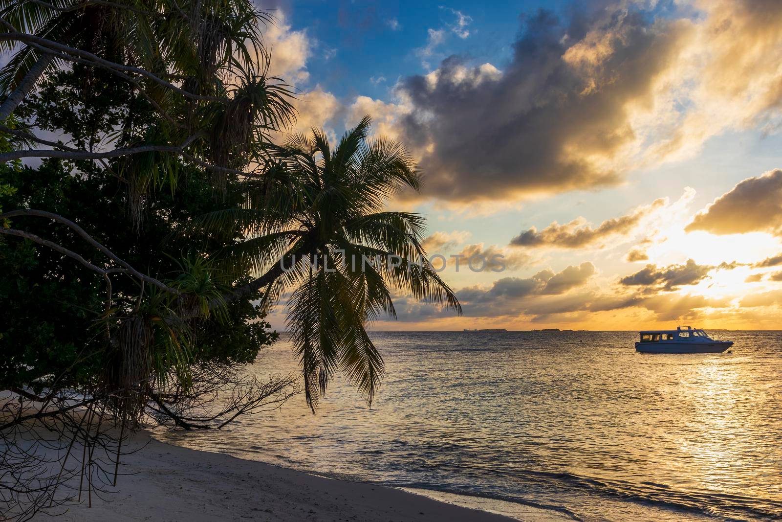 Shot of a tropical island.