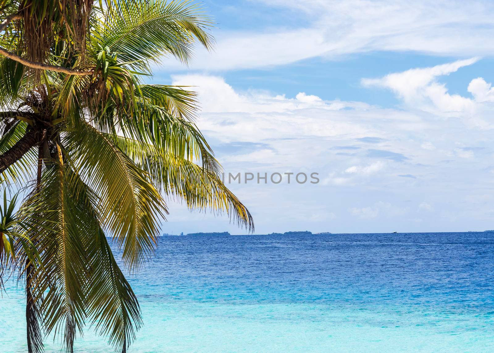 Shot of a tropical island.