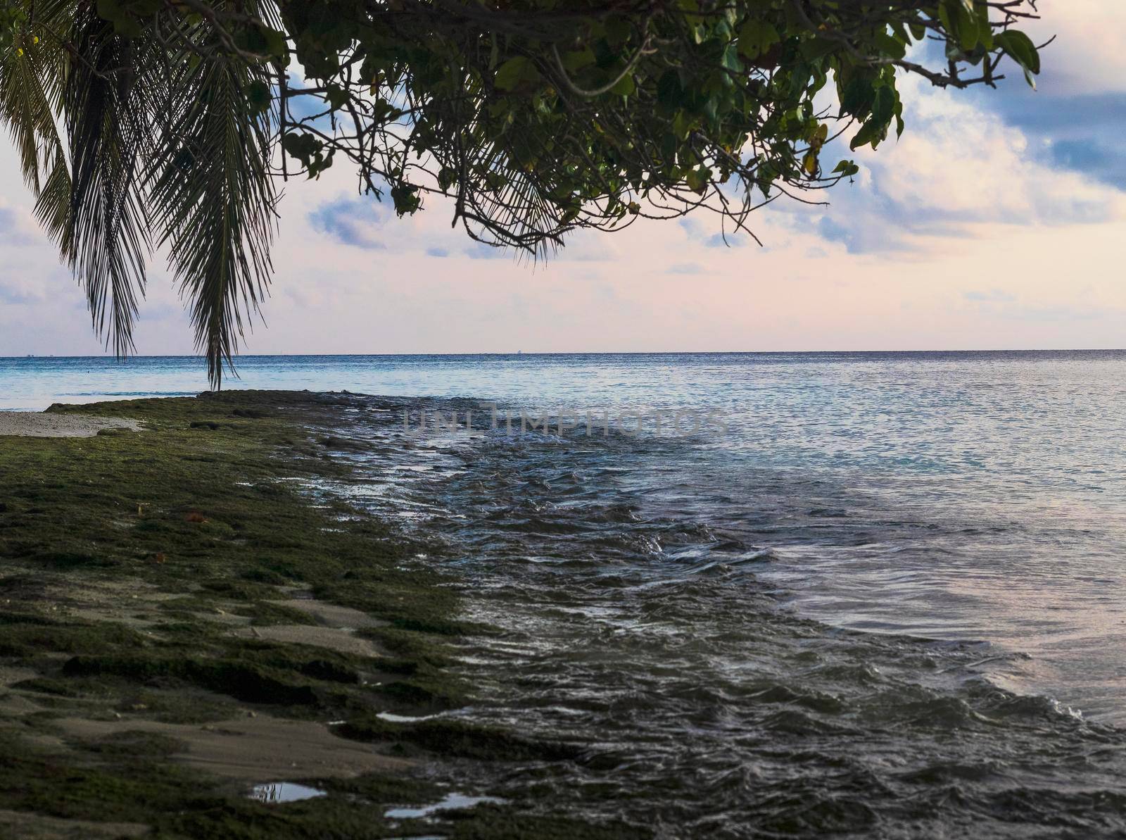 Shot of a tropical island.