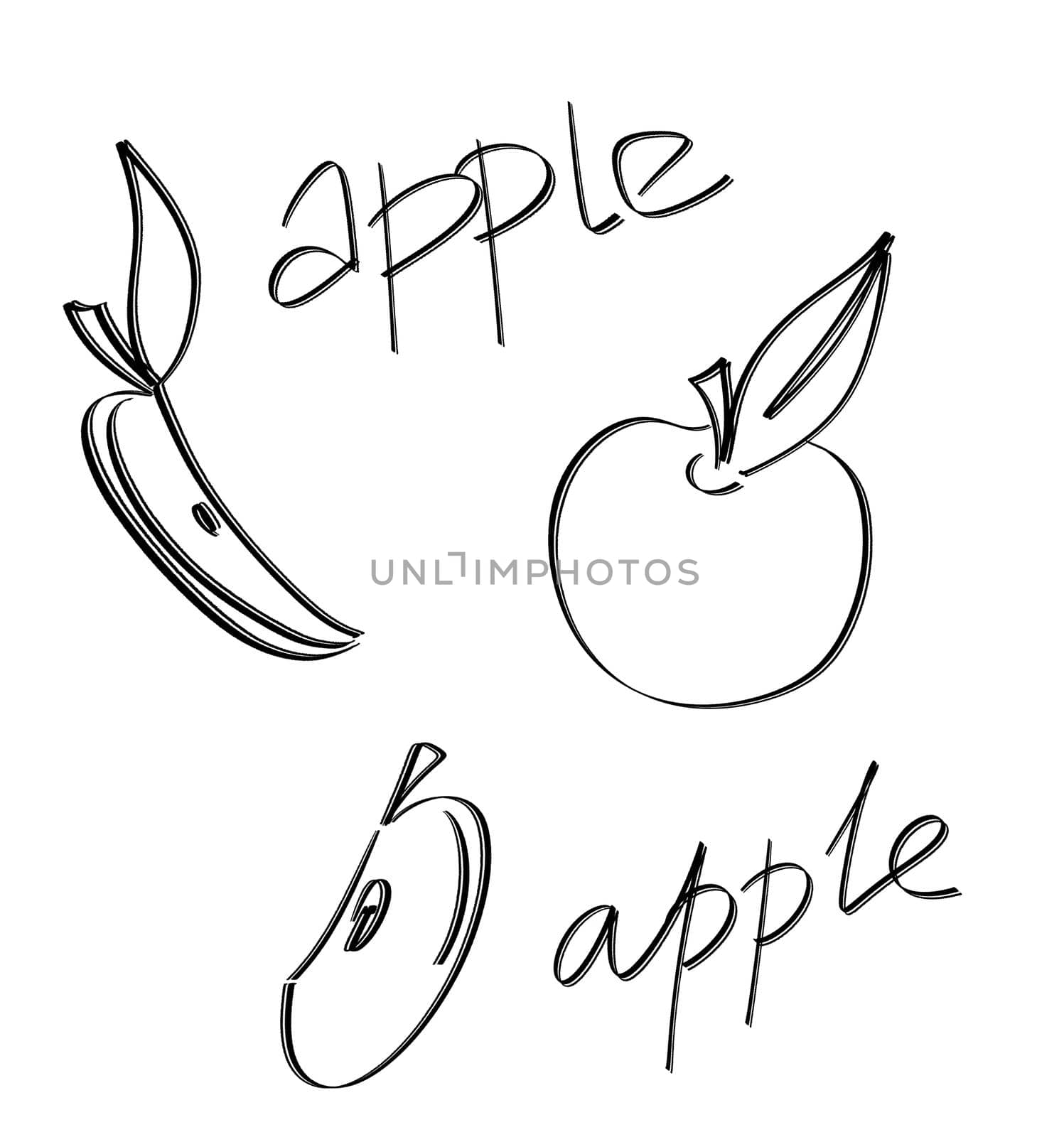 Fruit hand drawn. Fruits. Whole and sliced apple. Apple doodle icon isolated on white background. Set apples fruit sketch illustration with handwritten text.