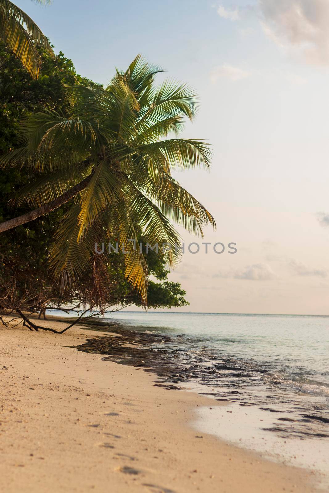 Shot of a tropical island.