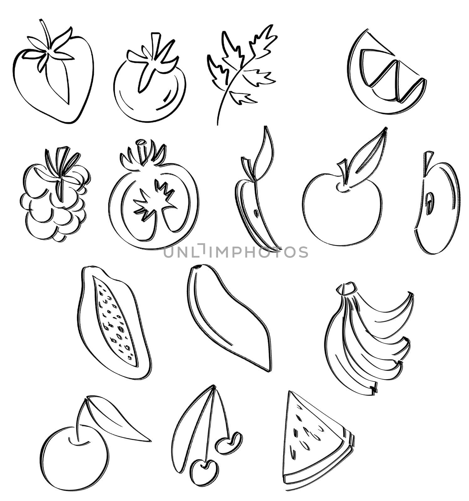 Simple set of fruits outline ollustration. Vegetarian healthy food, sketch of food for menu illustration by fireFLYart