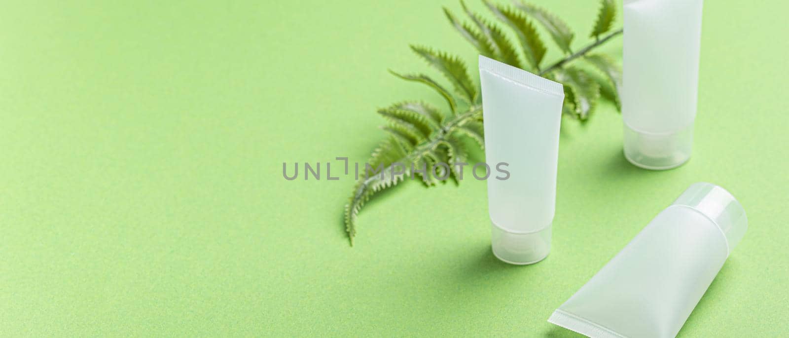 Skincare organic beauty product bottles, plant leaves on green background by its_al_dente
