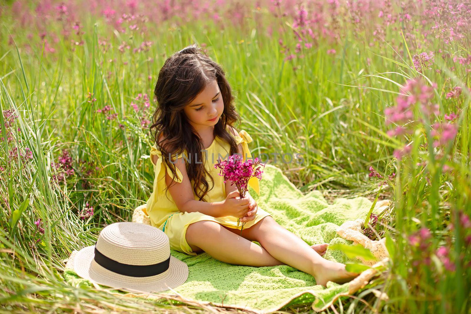 A beautiful little girl 4-5 years old, with long dark hair, sits on a green knitted plaid, in a yellow dress sits in a field with grass and burgundy viscaria flowers in summer. copy space