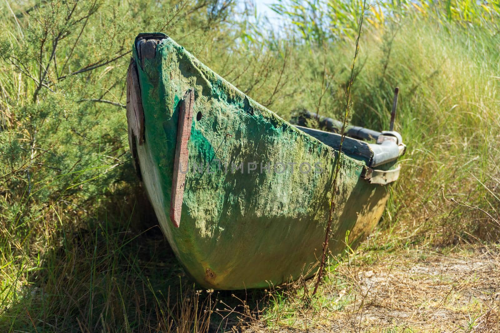 An old wooden boat abandoned in the thickets on the river bank close up