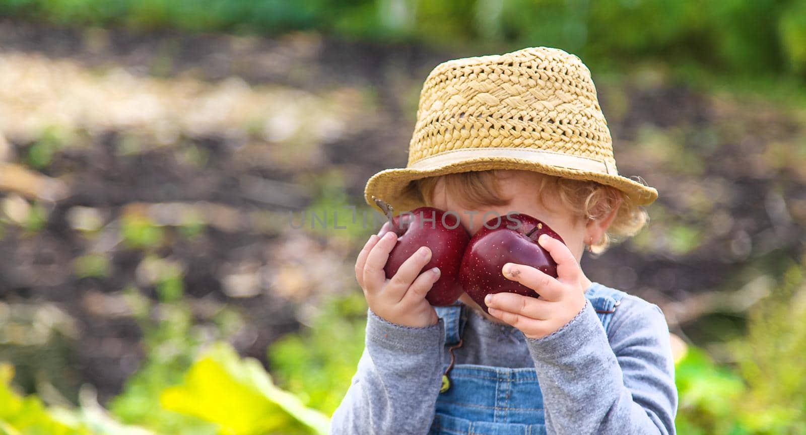 Child with apples in the garden. Selective focus. Kid.