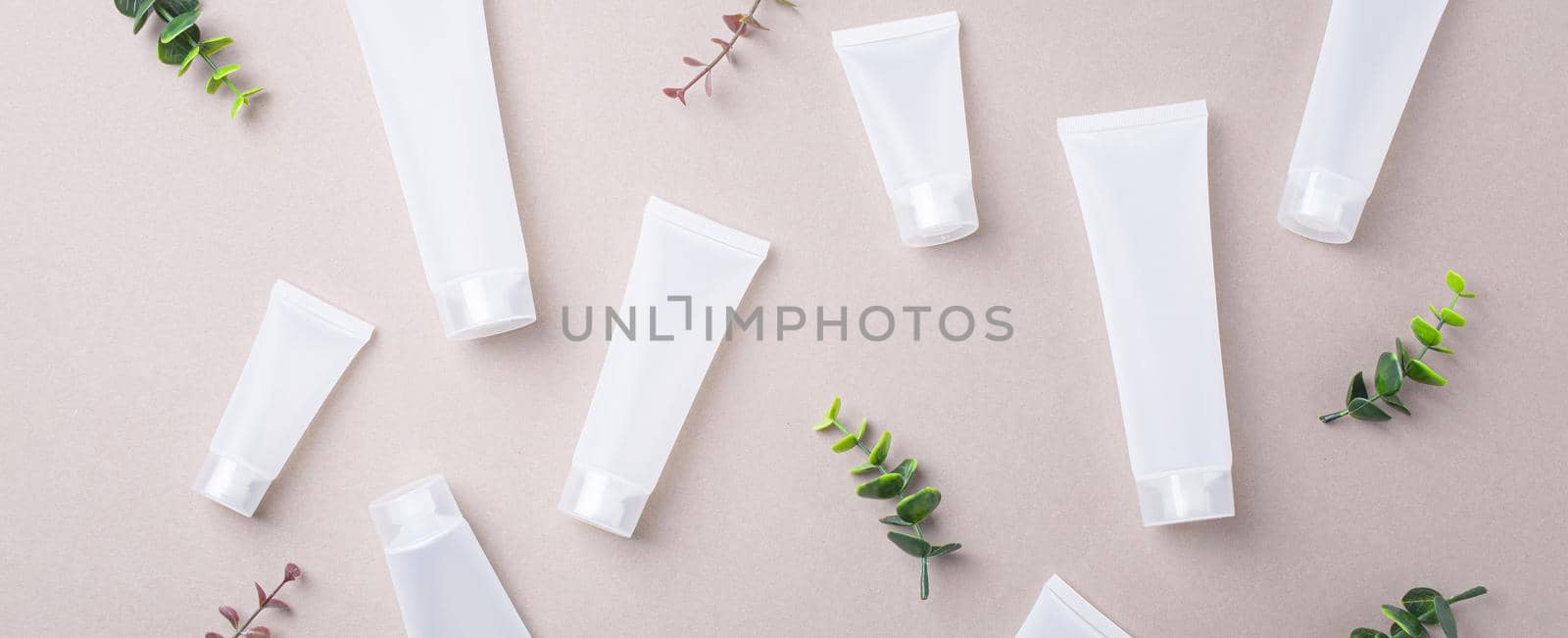 Skincare organic beauty product bottles, green plant leaves on gray background by its_al_dente