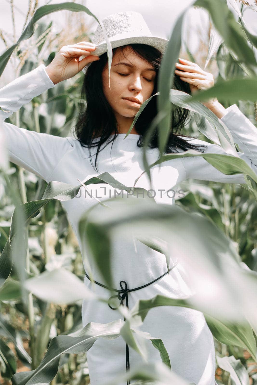 A brunette girl in a white dress in a cornfield. The concept of harvesting.