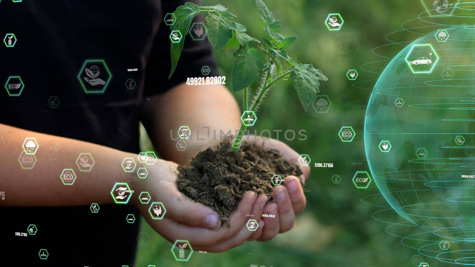 close up hands holding sapling of young oak tree. palms embrace the soil stem a small tree. blurred green background, black shirt. concept nature conservation, Earth protection, reforestation by senkaya