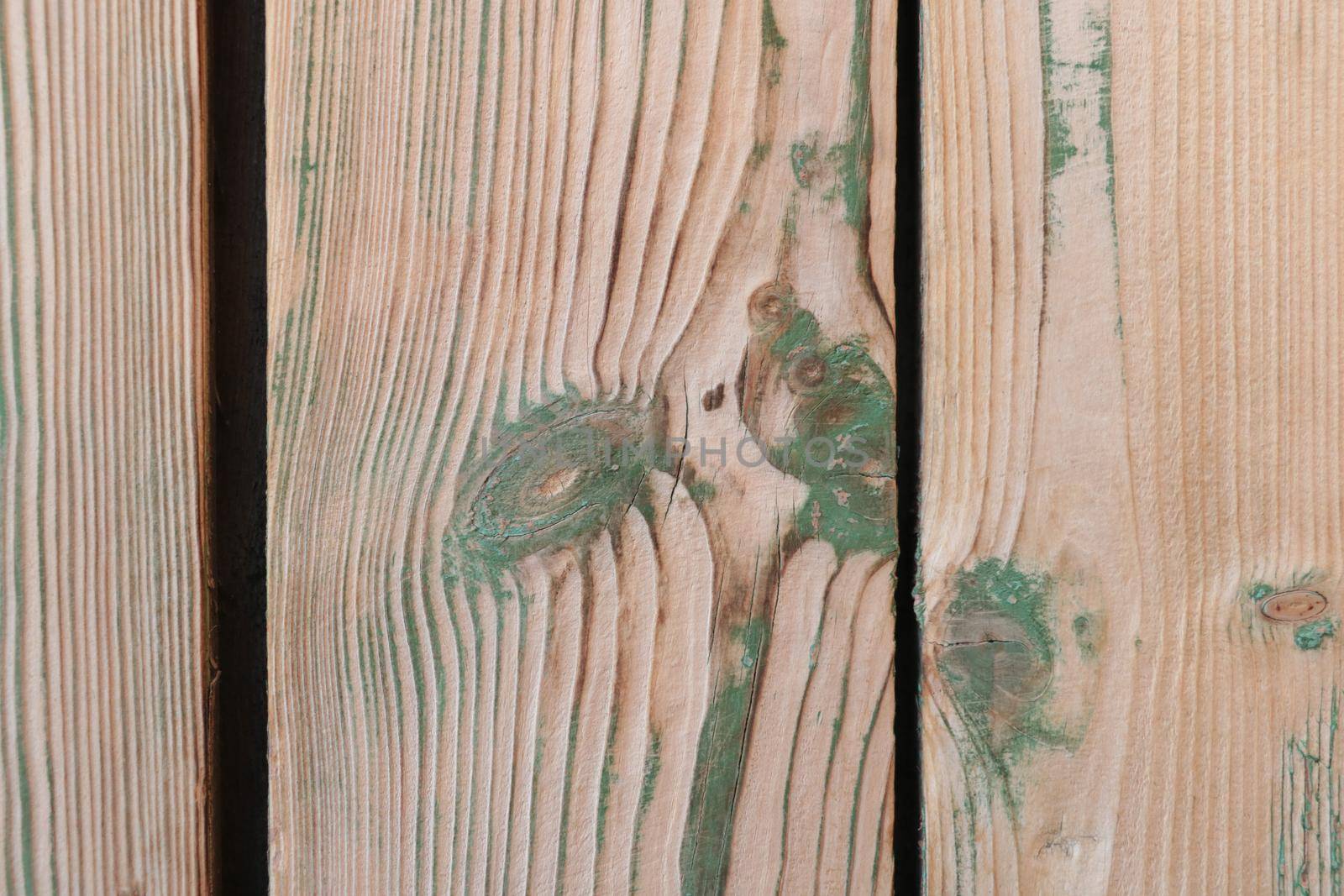 Old wood with peeling paint. Tree background