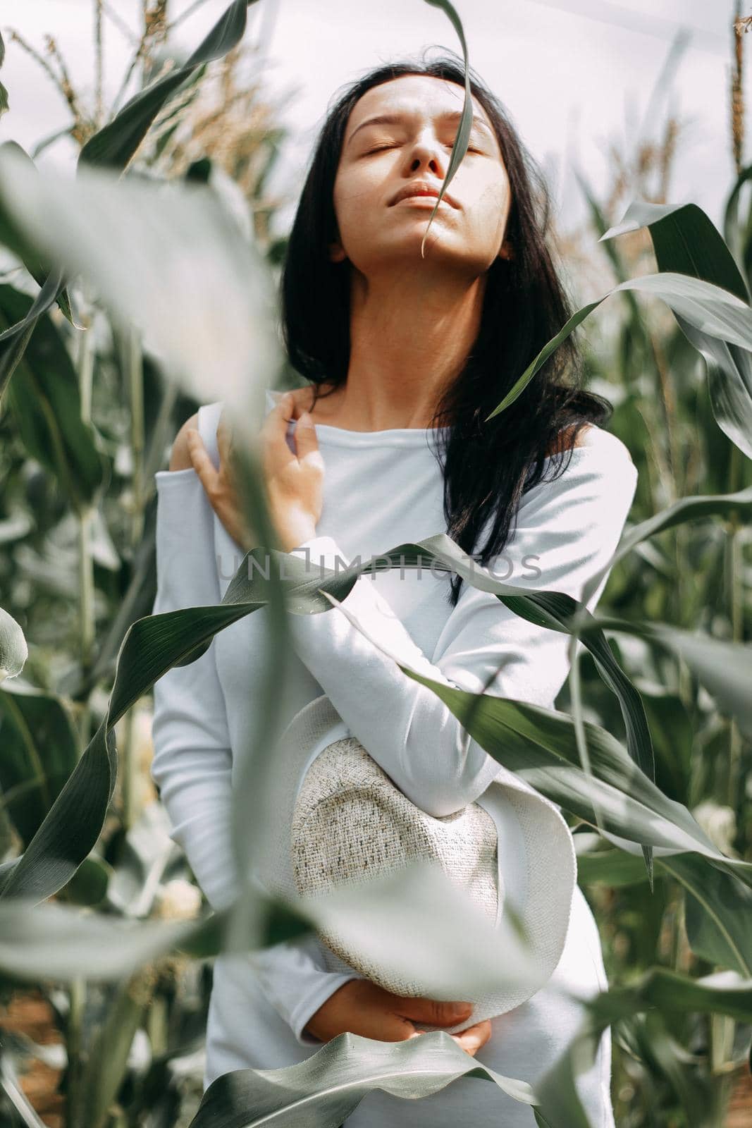 A brunette girl in a white dress in a cornfield. The concept of harvesting.